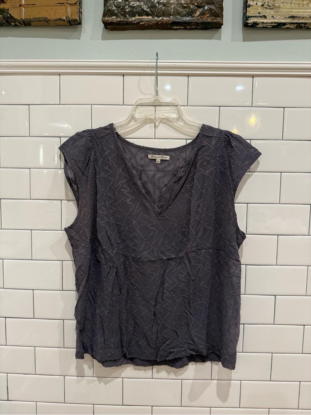 Broadway and Broome Textured Cap-Sleeve V-Neck Top in Periwinkle